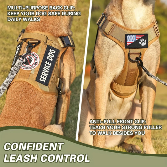 Dog wearing easy-lift no-pull harness showing front and back leash clips for confident leash control.