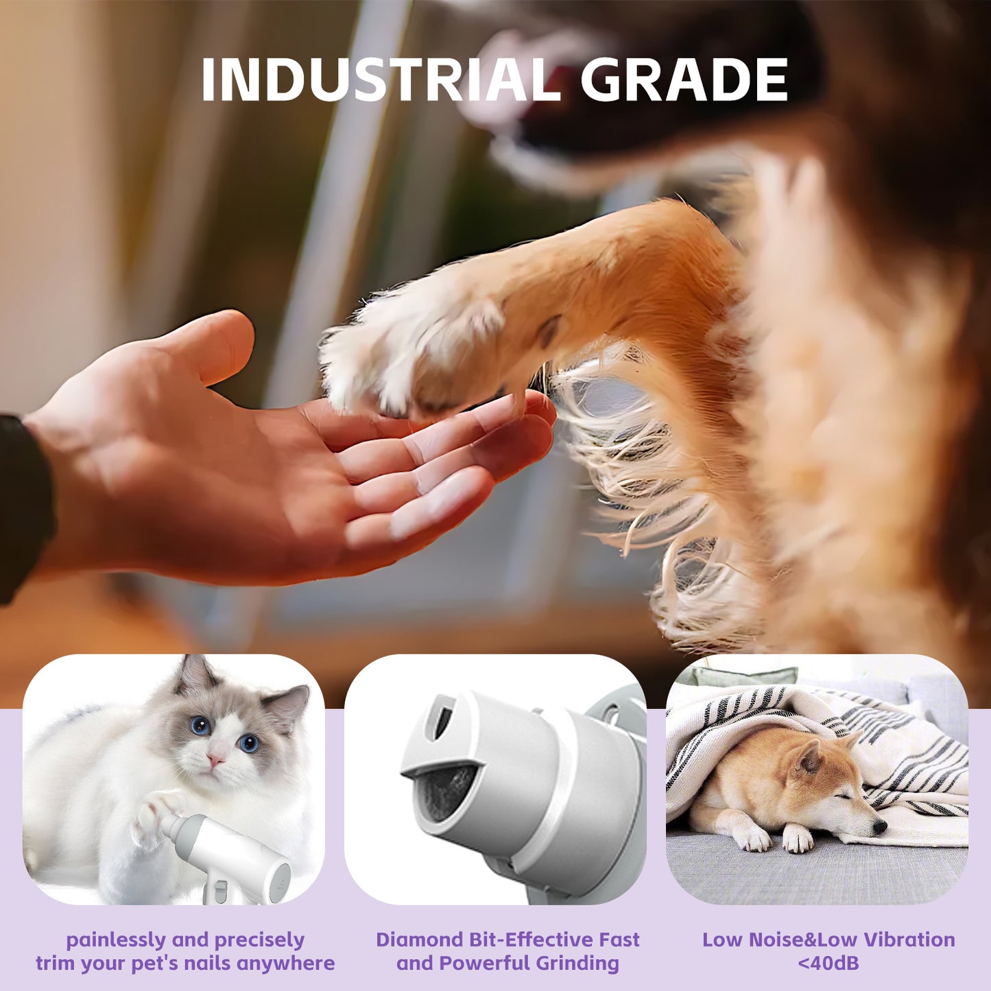 Low-noise diamond-bit nail trimmer for dogs and cats