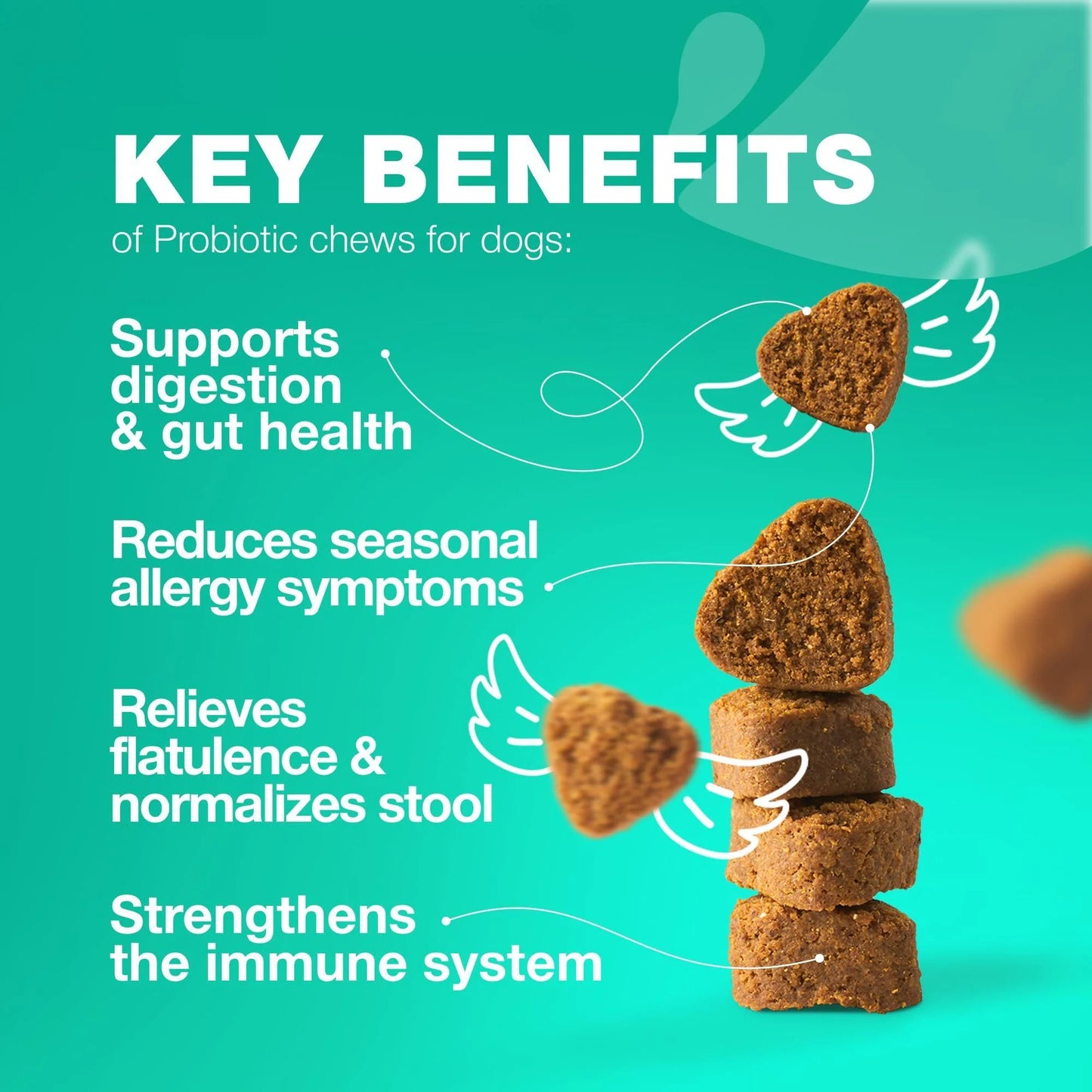 Senior Dog Probiotic Chews with Digestive Enzymes – Gut, Immune & Allergy Support