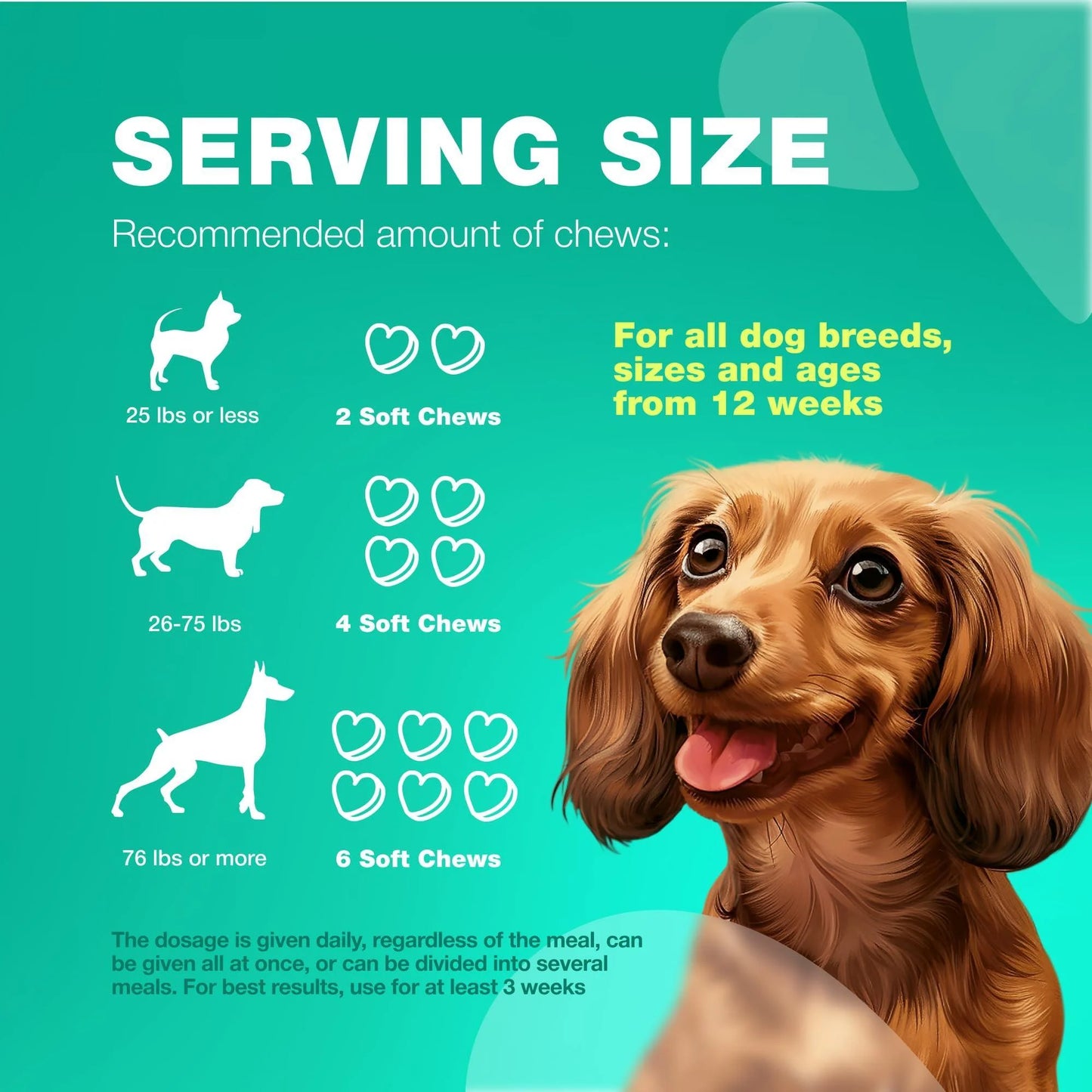 Senior Dog Probiotic Chews with Digestive Enzymes – Serving Size Guide
