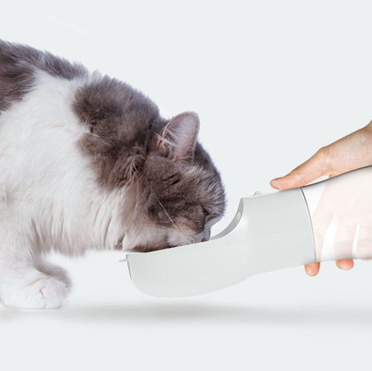 Senior cat using portable leak-proof pet water dispenser with food container