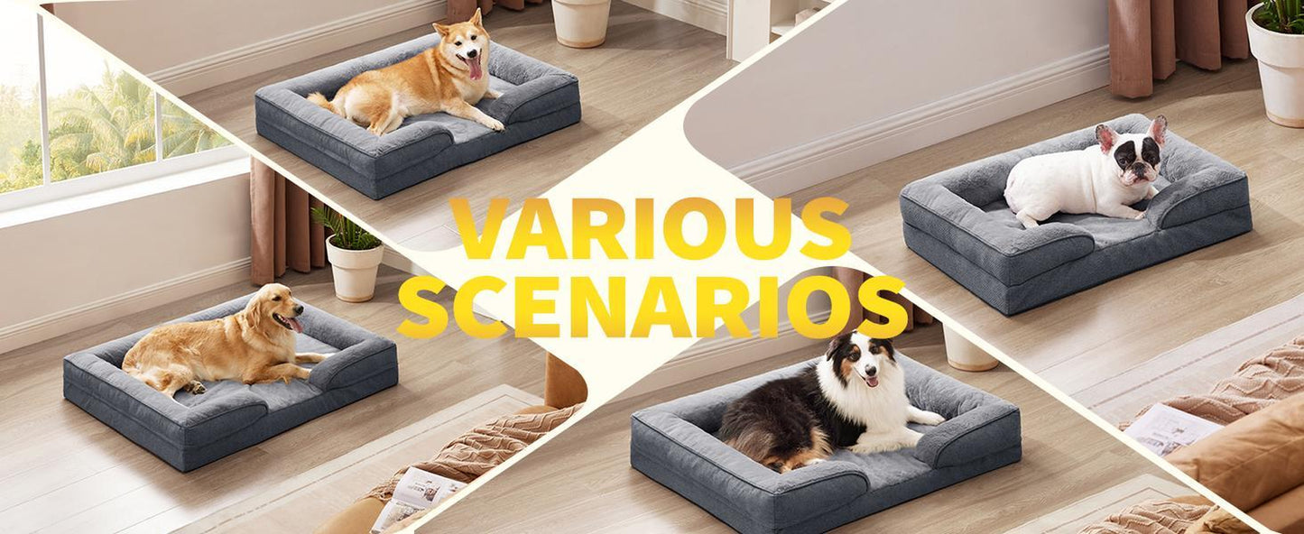 Various dog breeds using orthopedic sofa bed in home settings