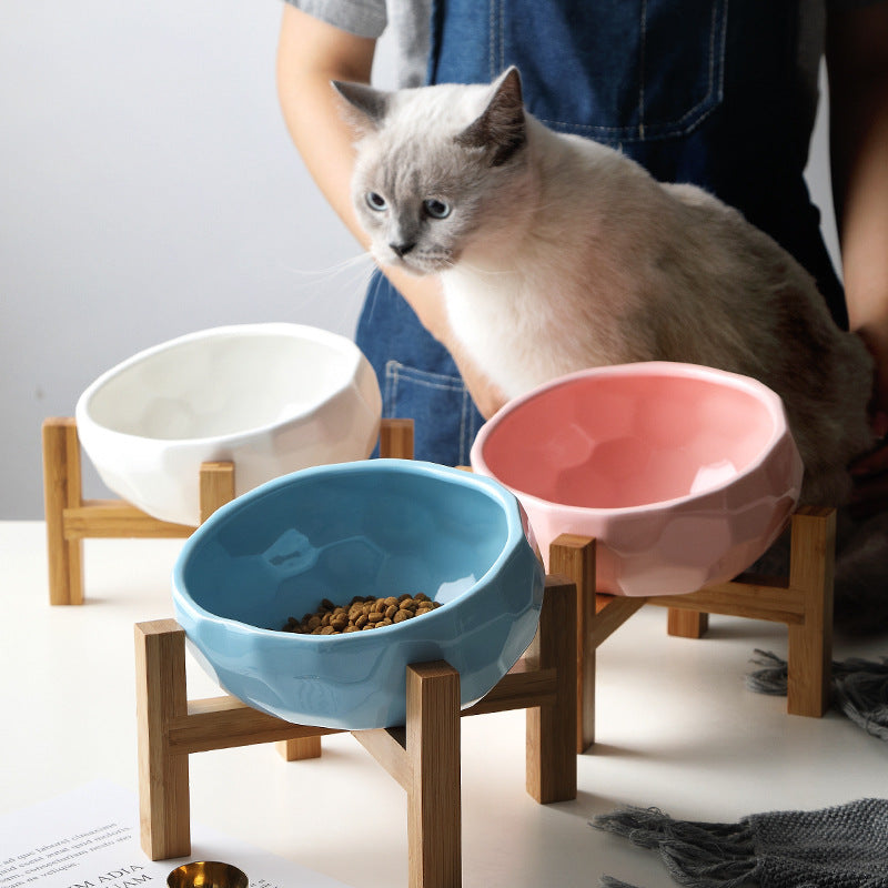 Cat sitting beside tilted pet bowls on bamboo stands in pink, blue, and white