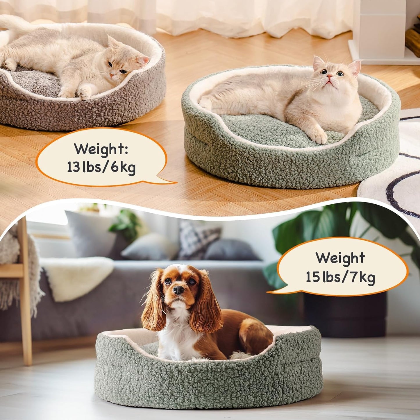 Cats and small dog using orthopedic pet bed with weight guide up to 15 lbs