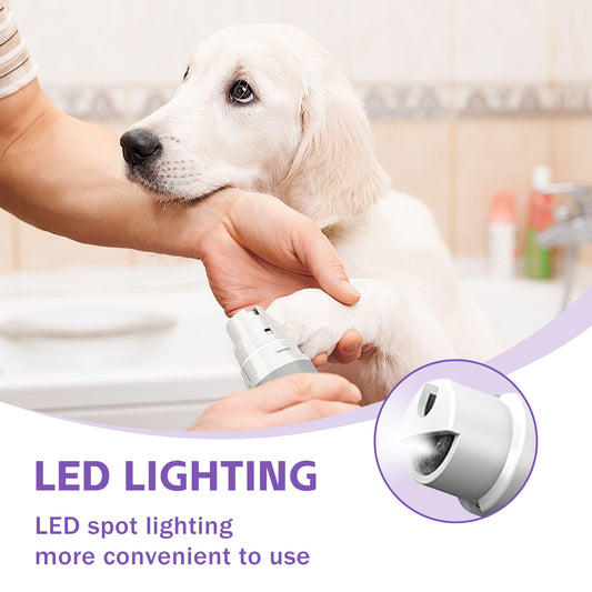 LED spot light shows the quick for safer nail trimming on a dog