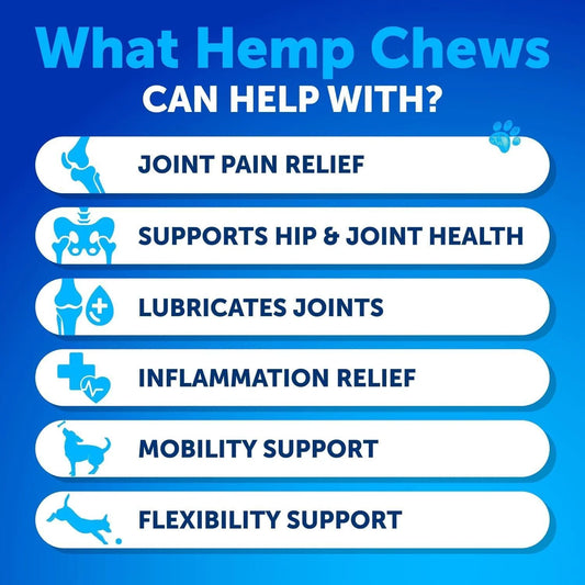 Benefits of senior dog hemp chews including joint pain relief, mobility, flexibility, and inflammation support