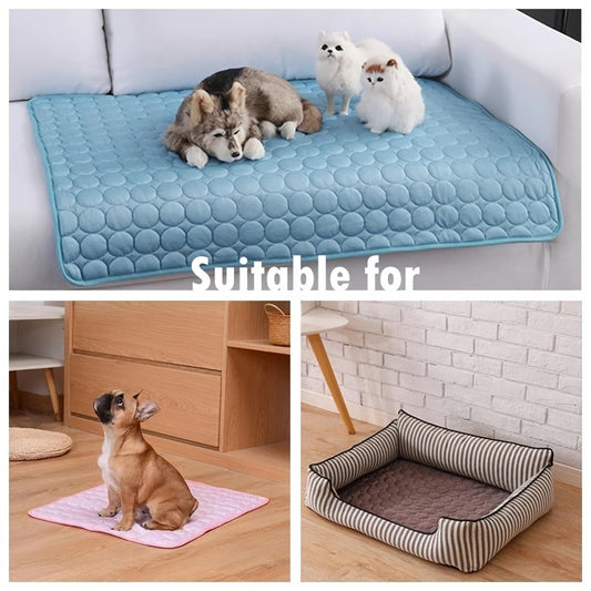 Dog and cat lying on cooling mat for summer heat relief