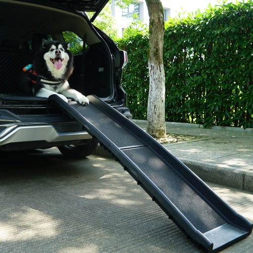 Large senior dog using foldable pet ramp to get into SUV trunk safely