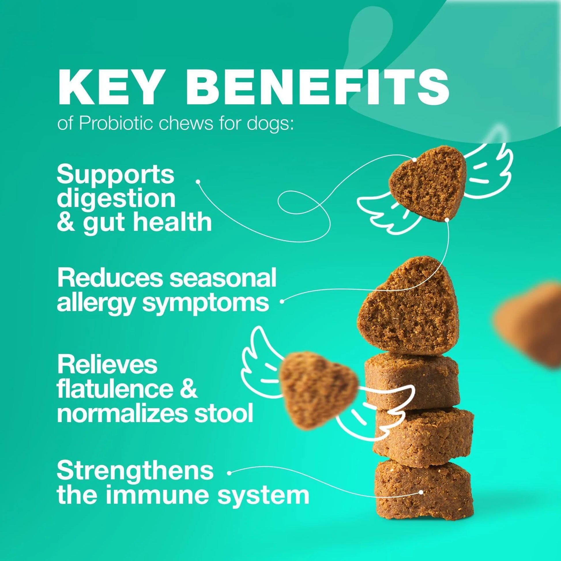 Senior Dog Probiotic Chews with Digestive Enzymes – Gut, Immune & Allergy Support