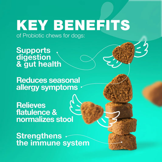 Senior Dog Probiotic Chews with Digestive Enzymes – Gut, Immune & Allergy Support