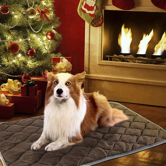 Senior dog resting on self-heating pet pad by fireplace and Christmas tree