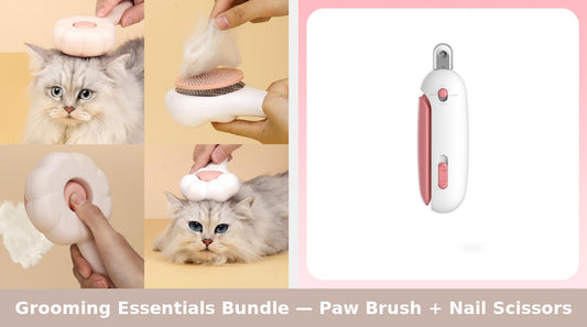 bundle brush and nail scissors