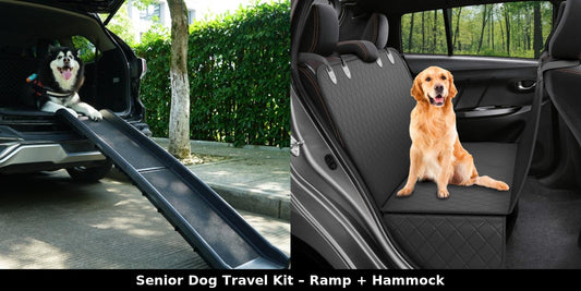 Senior dog travel kit bundle showing ramp for safe vehicle entry and hammock for secure, comfortable rides