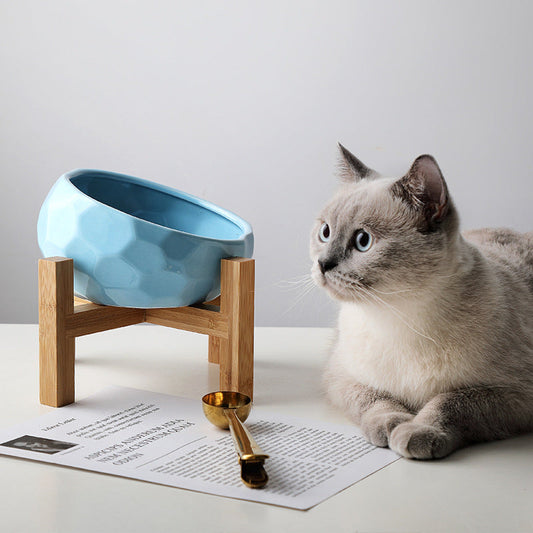 Blue ceramic tilted cat bowl with bamboo stand and cat beside it