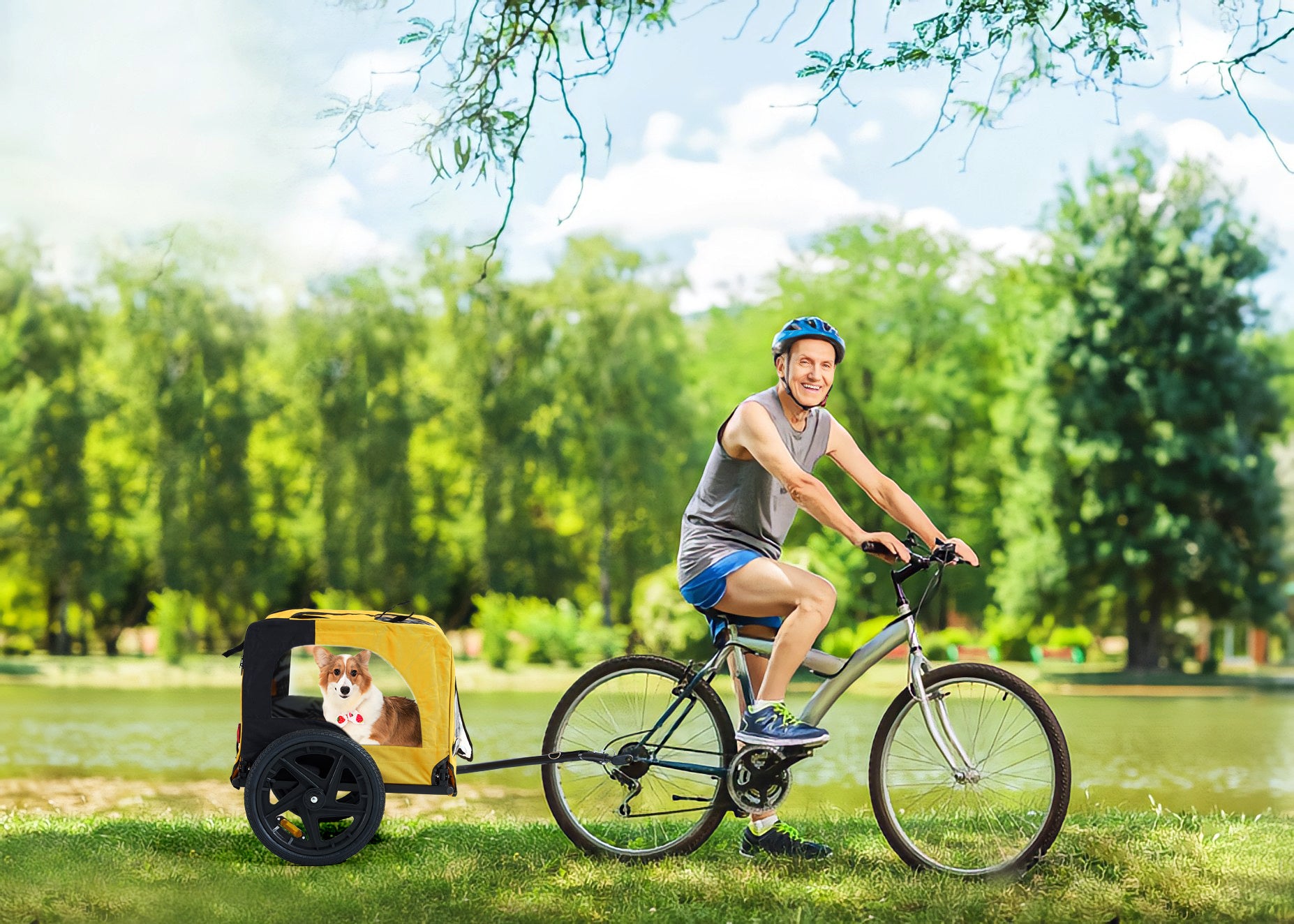Senior dog riding in yellow bicycle trailer attached to bike during outdoor ride