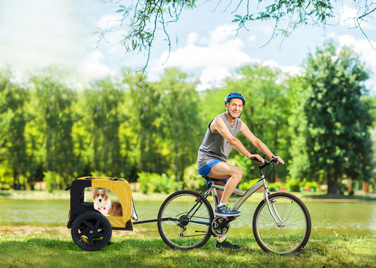 Senior dog riding in yellow bicycle trailer attached to bike during outdoor ride